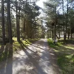 Apartament Gemuetliche In Strandnaehe *
